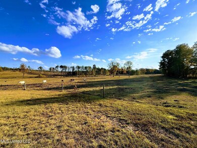 0 Zion Rd unit 4132047, Walnut Grove, MS 39189 - photo 6