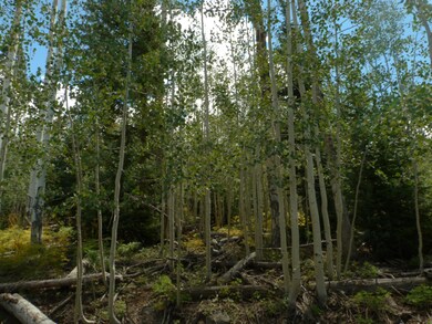 266 Snow Shoe Dr unit Lot6,BLK C,SkiHavenC, Brian Head, UT 84719 - photo 2