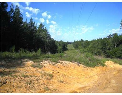 0 Barton Agricola Rd unit 3231818, Lucedale, MS 39452 - photo 6