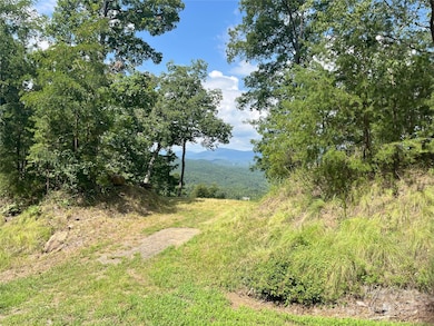 00 Bills Mountain Trail unit 6, Lake Lure, NC 28746 - photo 6