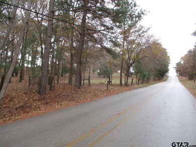 11059 County Road 290, Tyler, TX 75707 - photo 4