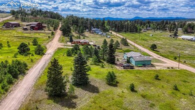 1129 Will Scarlet Dr, Divide, CO 80814 - photo 7