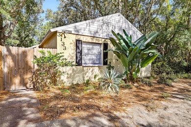 3133 Huron Ave, Oldsmar, FL 34677 - photo 4