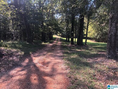 6040 Alabama 28, Snow Hill, AL 36768 - photo 6