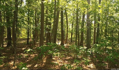 169 Brook Ln, Bee Branch, AR 72058 - photo 3