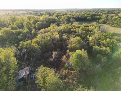 DJI_0835