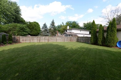 backyard from left to right