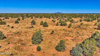 566 N Kaibab Rd Photo 6
