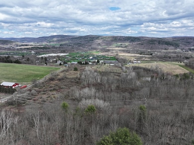 0 New York 28, Hartwick, NY 13348 - photo 3