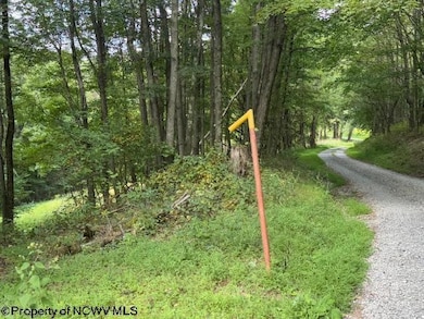 TBD Simpson Rd, Belington, WV 26250 - photo 4