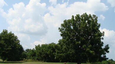 113 Locust Grove Dr unit 15, Georgetown, KY 40324 - photo 6