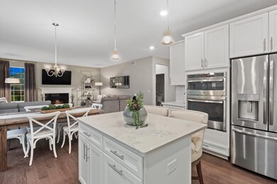 2110 E 110th Place, Crown Point, IN 46307 - photo 7