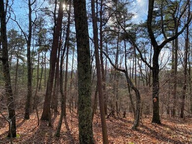 0 Quail Way unit 7685106, Jasper, GA 30143 - photo 2