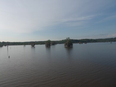 32307 Fisherman Rd, Dozier, AL 36028 - photo 5