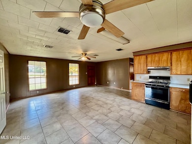 23 Topeka Jayess Rd, Jayess, MS 39641 - photo 3