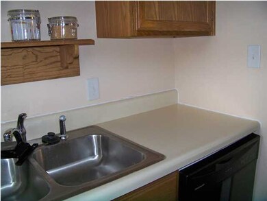Built-in dishwasher, stainless steel sink
