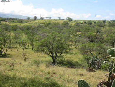 0 Pulehu Rd unit Lot 2 358915, Kula, HI 96790 - photo 7