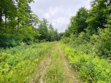 roads through out