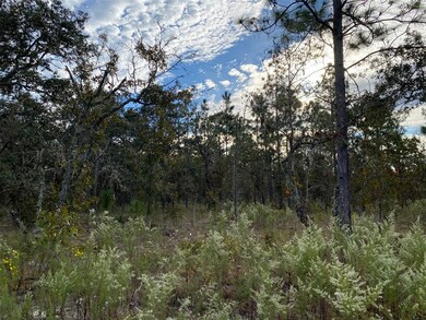 000 SW Admiral Landing Dr, Dunnellon, FL 34431 - photo 5