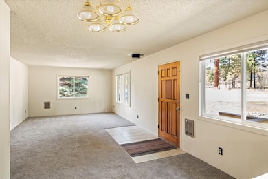 172 A New Windows, New carpet