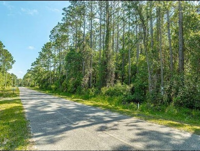 118 Delaine Cir, Eastpoint, FL 32328 - photo 3