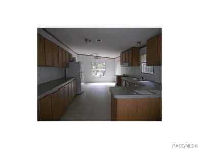 1071 E Chorus Ct, Hernando, FL 34442 - photo 4