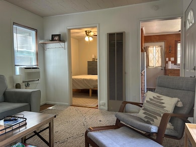 8027 W Hemlock Ave, Baldwin, MI 49304 - photo 4