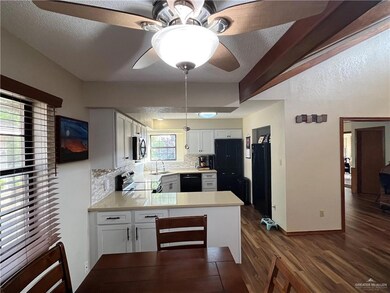 906 Citrus Dr, Alamo, TX 78516 - photo 2