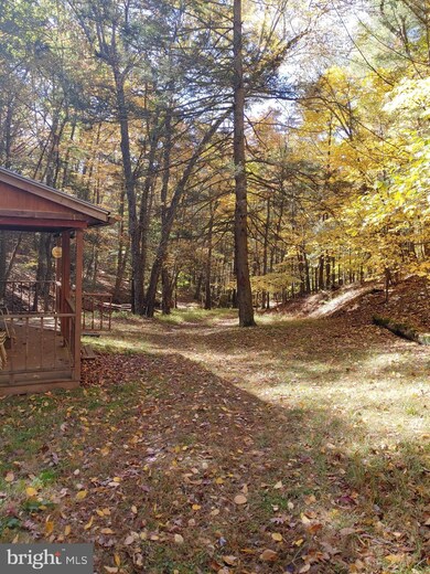 453 Walters Ln, Mathias, WV 26812 - photo 3