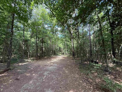 00 Montgomery Rd, Summit, MS 39666 - photo 7