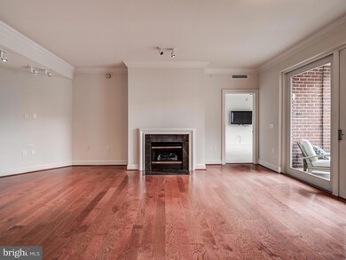 The Ritz-Carlton Residences unit 333, Baltimore, MD 21230 - photo 6