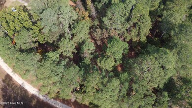 254 Falling Creek Ln, Goldsboro, NC 27530 - photo 5