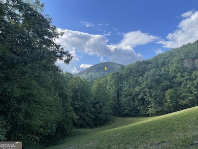 447 Creekview Dr, Ellijay, GA 30536 - photo 5