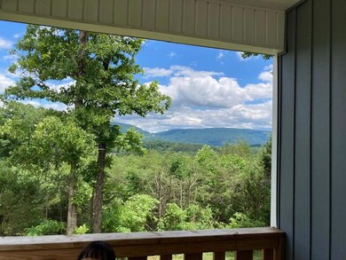 5) View from front porch