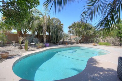 Backyard paradise