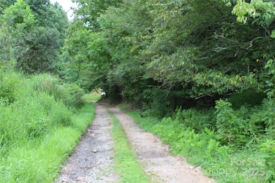 Lot 2 Lunsford Ln, Marshall, NC 28753 - photo 2