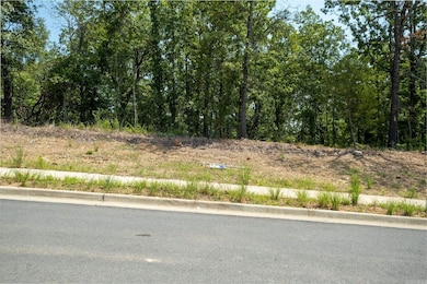 990 Fern Ridge Rd, Sherwood, AR 72120 - photo 5