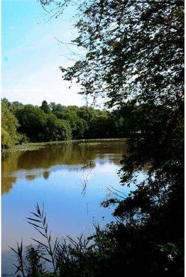 5 Nixon Dr, Moorestown, NJ 08057 - photo 4