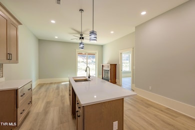 1036 Cummings St unit 1, Abingdon, VA 24211 - photo 3