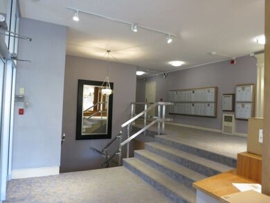 Hammond Park Condominiums unit 305, Chestnut Hill, MA 02467 - photo 6