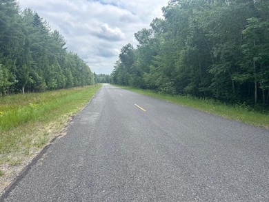 TBD Elder Rd, Carp Lake, MI 49718 - photo 2