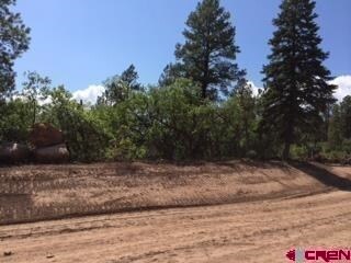 0 Calico Ct unit 696696, Durango, CO 81301 - photo 5