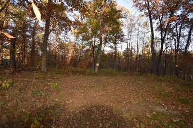 TBD Ranchette Dr, Breezy Point, MN 56472 - photo 4