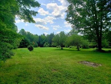 Beautiful Yard in Front of Home