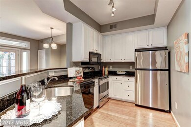 1313 Garden Wall Ct unit 808, Reston, VA 20194 - photo 7