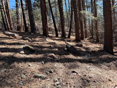 TBD Brazos Lodge Spruce, Chama, NM 87520 - photo 7