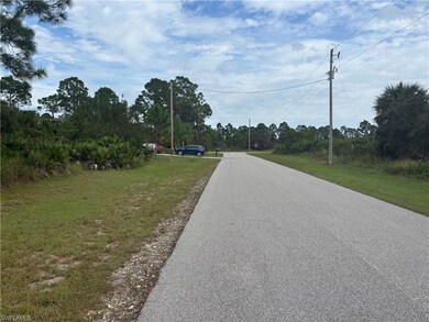 View of local wilderness