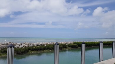 Open Water View