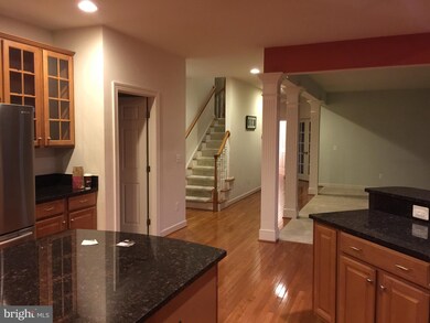 25334 Understanding Ct, Aldie, VA 20105 - photo 7