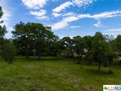 TBD Cottonwood Mesa Dr, Kempner, TX 76539 - photo 6